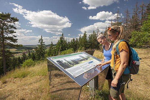 Panoramaausblick an der Reutherplatte Zwei Personen betrachten eine Informationstafel in einer hügeligen Landschaft mit Bäumen und Wolken.